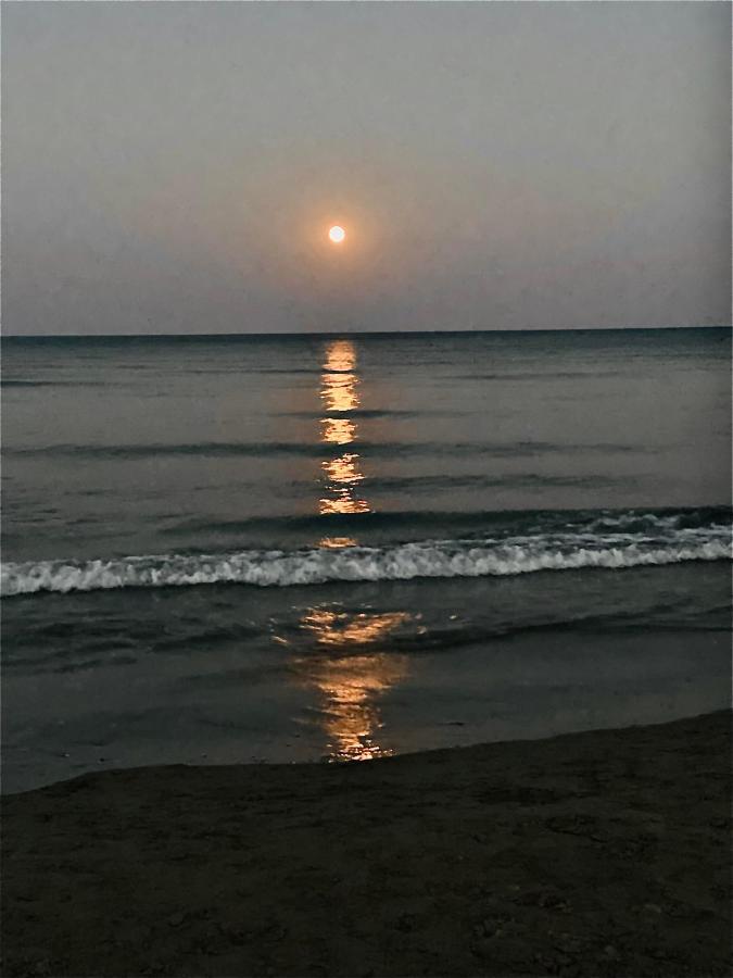 Lara 303 Lägenhet Larnaca Exteriör bild