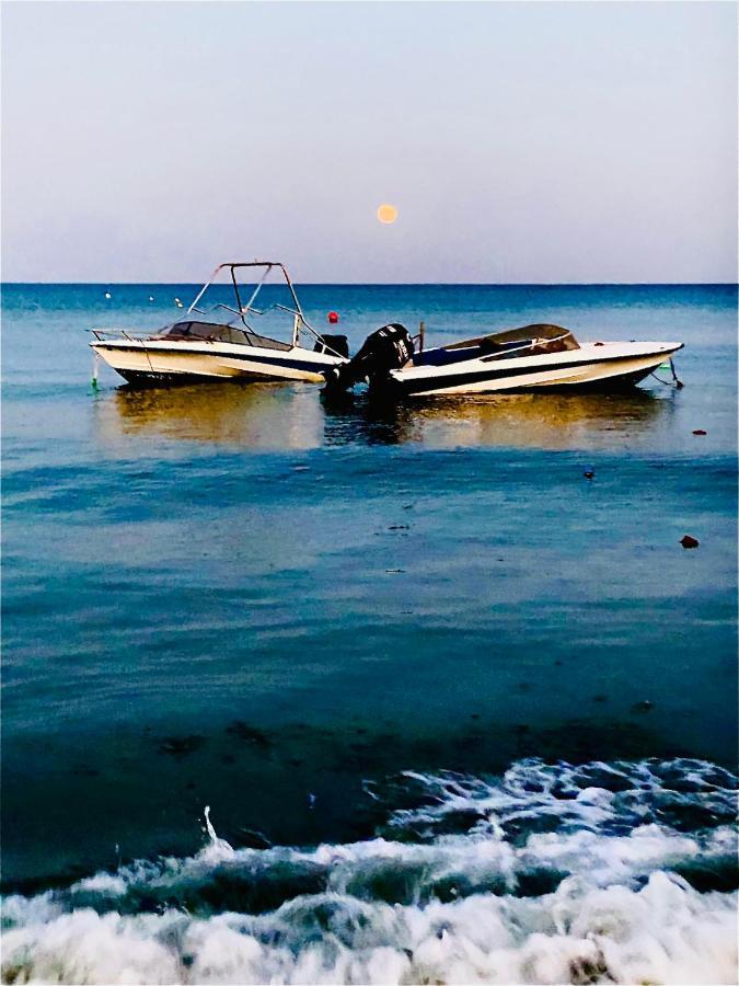 Lara 303 Lägenhet Larnaca Exteriör bild